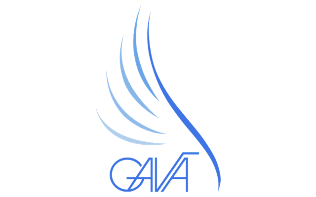 Gava International, Inc.