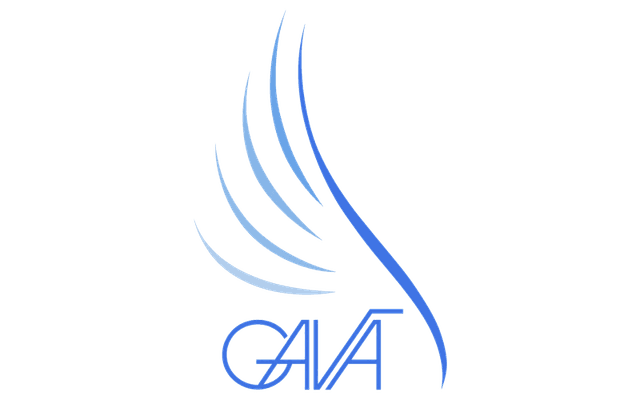Gava International, Inc.